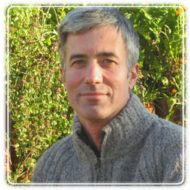 Tom Burton