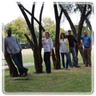 Insights Collaborative Therapy Group 