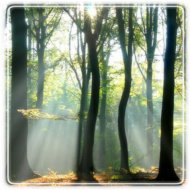 outpatient alcohol treatment