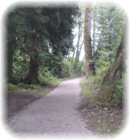 Park Trail