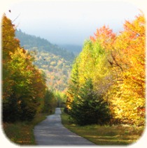 Morning Mountain Trail