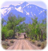 Sierra Mountain Path