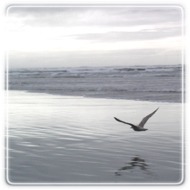 Ekaterina Nikiforova