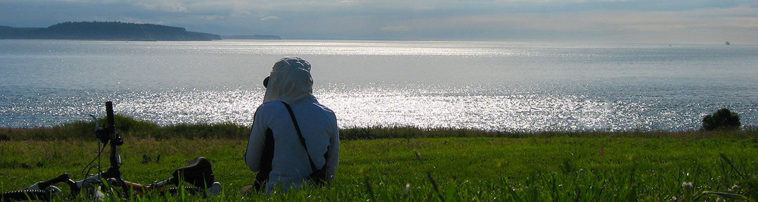 Batterer Intervention