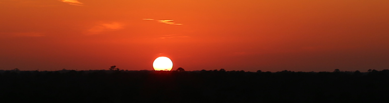 Central Sleep Apnea DSM-5 327.21 (G47.31)