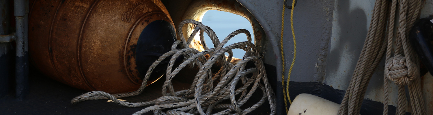 Depressive Episodes with Short-Duration Hypomania DSM-5