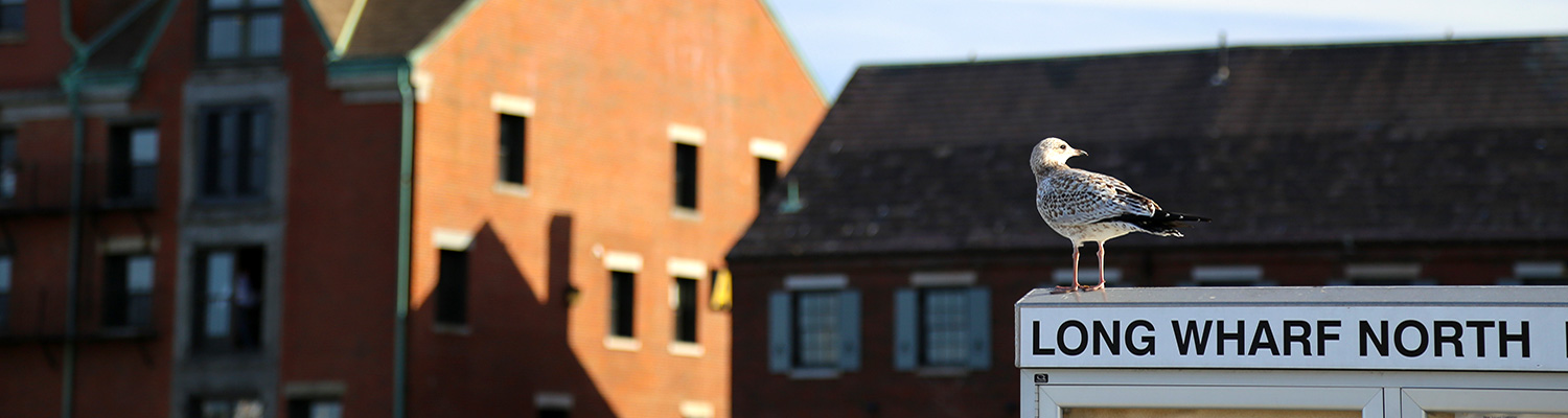 Freudian Psychoanalysis