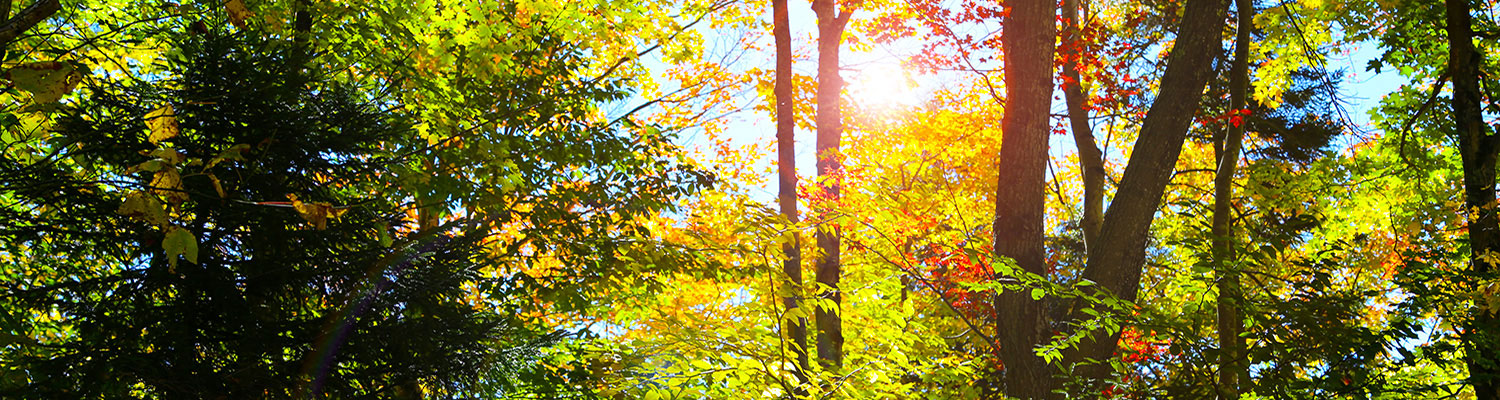 Intensive Short-Term Dynamic Psychotherapy