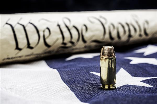 constitution gun rights