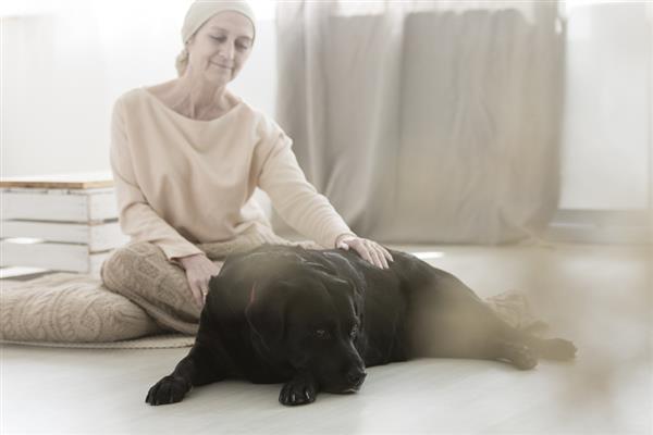 bigstock dog helping woman with cancer 205749778